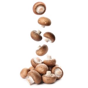 Mushrooms